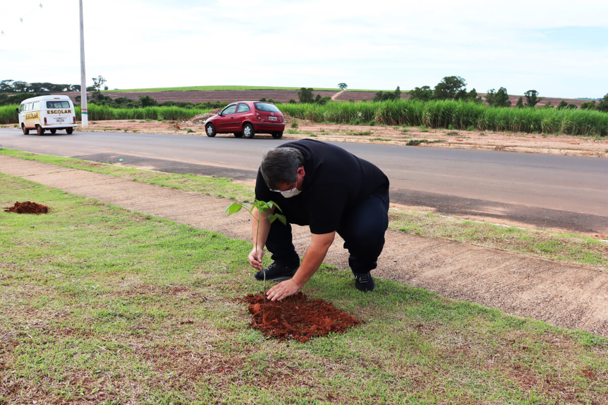 Prefeitura e entidades realizam plantio de árvores em Santa Adélia